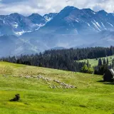 Małopolska: 6 cudów regionu, które musisz zobaczyć choć raz 