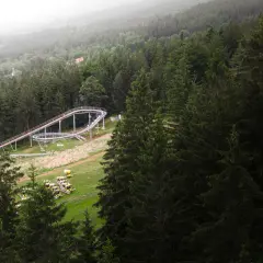 Tor saneczkowy w otoczeniu lasu, z widocznymi w dole żółtymi wagonikami.