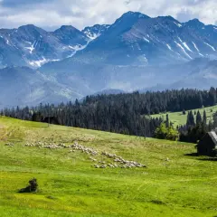 Małopolska: 6 cudów regionu, które musisz zobaczyć choć raz 