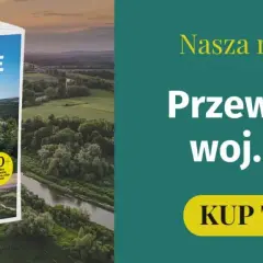 Śląsk: 6 miast, które musisz odwiedzić choć raz w życiu. Czemu?