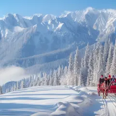 Ferie Zakopane: Zimowa przygoda na najwyższym poziomie!