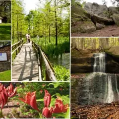 Majówka na Śląsku: 10 atrakcji, które Cię zaskoczą na weekend