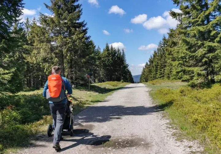 Góry Izerskie szlaki: 6 tras dla każdego poziomu zaawansowania