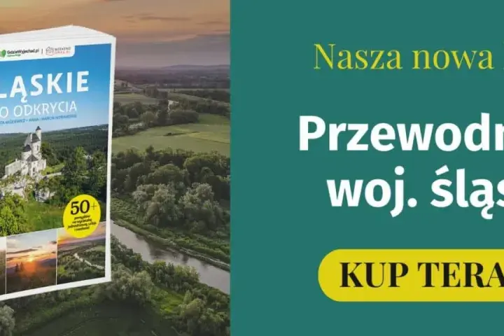 Śląsk: 6 miast, które musisz odwiedzić choć raz w życiu. Czemu?